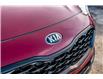 2022 Kia Sportage EX S (Stk: PW0033) in Edmonton - Image 9 of 22