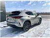2025 Lexus NX 350h Base (Stk: 250631) in Calgary - Image 3 of 22