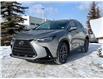 2025 Lexus NX 350h Base (Stk: 250631) in Calgary - Image 5 of 22