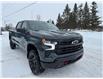 2025 Chevrolet Silverado 1500 LT Trail Boss (Stk: 25150) in Green Valley - Image 12 of 14