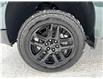 2025 Chevrolet Silverado 1500 LT Trail Boss (Stk: 25150) in Green Valley - Image 14 of 14