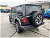2025 Jeep Wrangler Sahara (Stk: 25-213) in Sarnia - Image 3 of 14