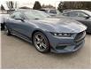 2025 Ford Mustang EcoBoost Premium (Stk: 25404) in Vancouver - Image 2 of 6