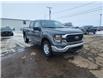 2023 Ford F-150 XLT (Stk: B00135) in Wilkie - Image 1 of 21