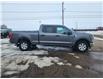 2023 Ford F-150 XLT (Stk: B00135) in Wilkie - Image 12 of 21