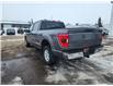 2023 Ford F-150 XLT (Stk: B00135) in Wilkie - Image 17 of 21