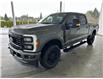 2025 Ford F-350  (Stk: 25096) in Port Alberni - Image 8 of 32