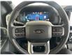 2025 Ford F-150 XLT (Stk: 25090) in Port Alberni - Image 15 of 27