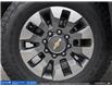2025 Chevrolet Silverado 2500HD Custom (Stk: 25033) in Leamington - Image 8 of 26