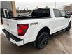 2024 Ford F-150 XLT (Stk: 14-F3933) in Bobcaygeon - Image 4 of 29