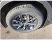 2024 Volkswagen Tiguan Comfortline (Stk: 24359) in Lethbridge - Image 8 of 26