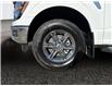 2025 Ford F-150 XLT (Stk: 25T014) in ROCKY MOUNTAIN HOUSE - Image 14 of 15