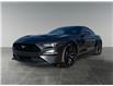 2019 Ford Mustang EcoBoost Premium (Stk: P39990C) in Saskatoon - Image 1 of 15