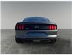 2019 Ford Mustang EcoBoost Premium (Stk: P39990C) in Saskatoon - Image 4 of 15