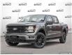 2025 Ford F-150 XLT (Stk: FH064) in Sault Ste. Marie - Image 1 of 23