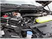 2025 Ford F-150 XLT (Stk: FH064) in Sault Ste. Marie - Image 6 of 23