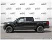 2025 Ford F-150 STX (Stk: FH059) in Sault Ste. Marie - Image 3 of 21