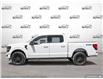 2025 Ford F-150 XLT (Stk: FH025) in Sault Ste. Marie - Image 3 of 24