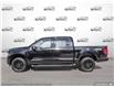 2025 Ford F-150 XLT (Stk: FH057) in Sault Ste. Marie - Image 3 of 24
