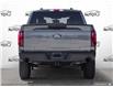 2024 Ford F-150 STX (Stk: FG439) in Sault Ste. Marie - Image 5 of 25