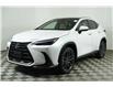 2025 Lexus NX 350  (Stk: 14109730) in Markham - Image 3 of 11
