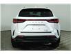 2025 Lexus NX 350  (Stk: 14109745) in Markham - Image 6 of 21