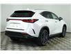 2025 Lexus NX 350  (Stk: 14109745) in Markham - Image 7 of 21