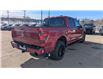 2025 Ford F-150 XLT (Stk: F1120) in Miramichi - Image 5 of 13
