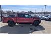 2025 Ford F-150 XLT (Stk: F1120) in Miramichi - Image 6 of 13