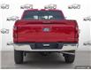 2025 Ford F-150 XLT (Stk: 25F1518) in St. Catharines - Image 5 of 24