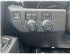 2025 GMC Sierra 1500 Elevation (Stk: 25-163) in Pembroke - Image 13 of 17