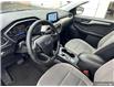 2022 Ford Escape SE Hybrid (Stk: 161590) in London - Image 14 of 26