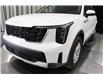 2025 Kia Sorento 2.5L LX (Stk: 25944) in Edmonton - Image 7 of 23