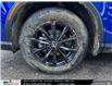 2025 Honda CR-V Sport (Stk: 2501179) in North York - Image 10 of 29