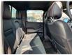 2023 Nissan Frontier PRO-4X (Stk: 218802) in Medicine Hat - Image 22 of 28