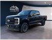2025 Ford F-250 Platinum (Stk: 12028) in Golden - Image 1 of 17