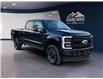2025 Ford F-250 Platinum (Stk: 12028) in Golden - Image 3 of 17