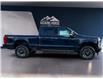 2025 Ford F-250 Platinum (Stk: 12028) in Golden - Image 4 of 17