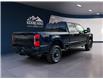 2025 Ford F-250 Platinum (Stk: 12028) in Golden - Image 5 of 17