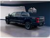 2025 Ford F-250 Platinum (Stk: 12028) in Golden - Image 7 of 17