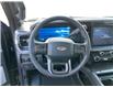 2025 Ford F-250 Platinum (Stk: 12028) in Golden - Image 10 of 17