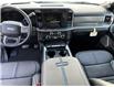 2025 Ford F-250 Platinum (Stk: 12028) in Golden - Image 12 of 17