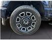 2025 Ford F-250 Platinum (Stk: 12028) in Golden - Image 16 of 17