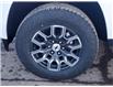 2025 Chevrolet Colorado Z71 (Stk: N250262) in Stony Plain - Image 5 of 50