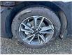 2023 Kia Forte EX (Stk: 546358) in Langley BC - Image 6 of 24