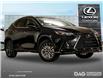 2025 Lexus NX 350h Base (Stk: 25374) in Toronto - Image 1 of 25