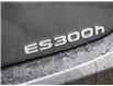 2025 Lexus ES 300h Base (Stk: 25390) in Toronto - Image 15 of 24