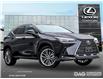 2025 Lexus NX 350h Base (Stk: 25397) in Toronto - Image 1 of 24