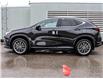 2025 Lexus NX 350h Base (Stk: 25397) in Toronto - Image 4 of 24