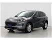 2022 Ford Escape SE (Stk: F0635) in Saskatoon - Image 5 of 22